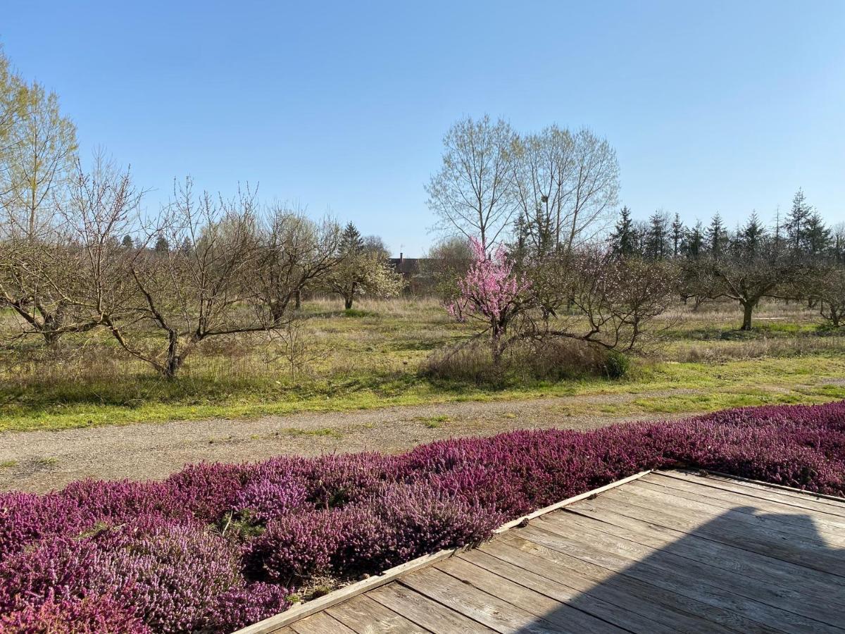 Le Gite De L'Etoile Du Jour Neung-sur-Beuvron Экстерьер фото